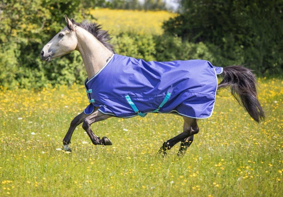 Tempest Original 100 Turnout Rug - Navy - 4'0"