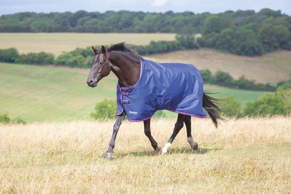 Tempest Original 100 Turnout Rug - Navy - 4'0"