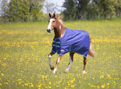 Tempest Original 100 Turnout Rug - Navy - 4'0"