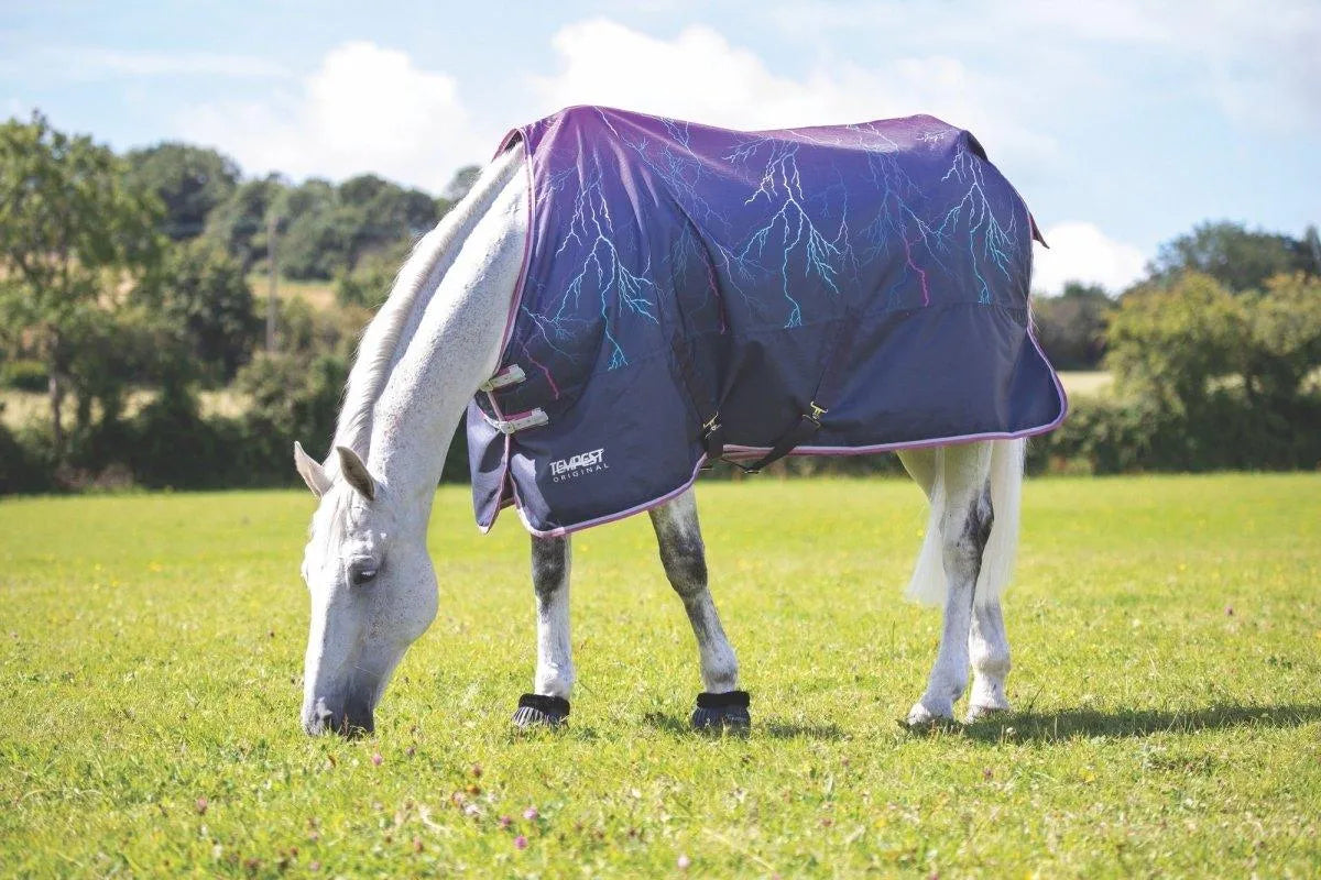 Tempest Original 100 Turnout Rug - Navy - 4'0"
