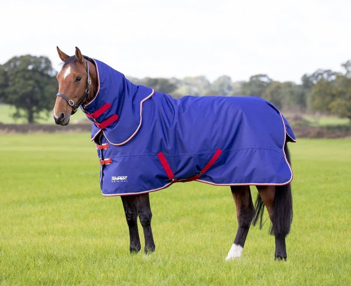 Tempest Original 100 Turnout Rug & Neck - Navy - 5'0"