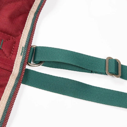 Tempest Original 200 Turnout Rug - Maroon - 4'0"