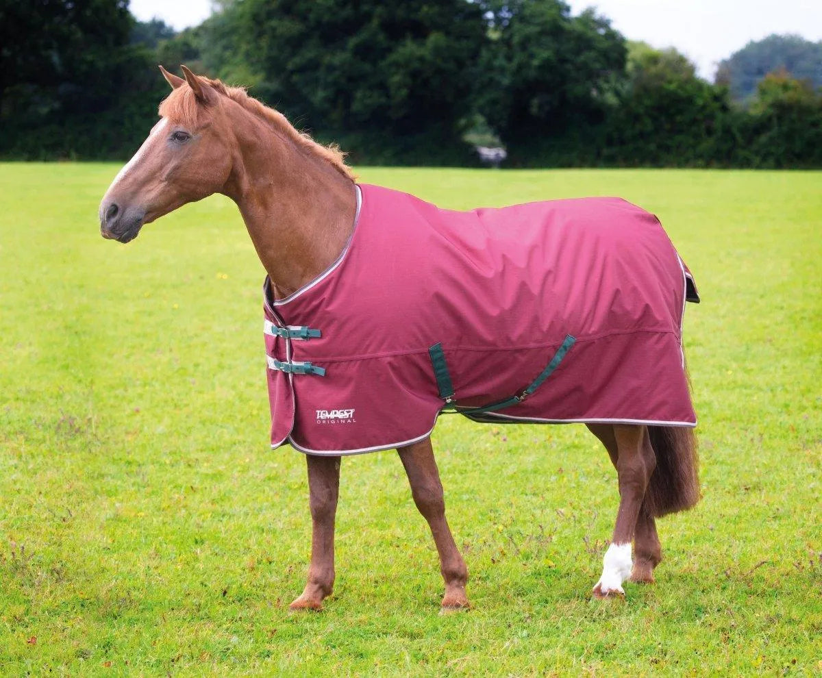 Tempest Original 200 Turnout Rug - Maroon - 4'0"