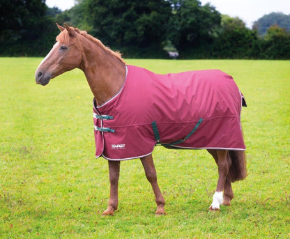 Tempest Original 200 Turnout Rug - Maroon - 4'0"