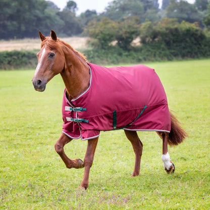 Tempest Original 200 Turnout Rug - Maroon - 4'0"