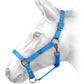 W-Horse Harvey Headcollar - Turquoise - Full