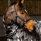 Whitaker Bradshaw Headcollar - Black - Pony