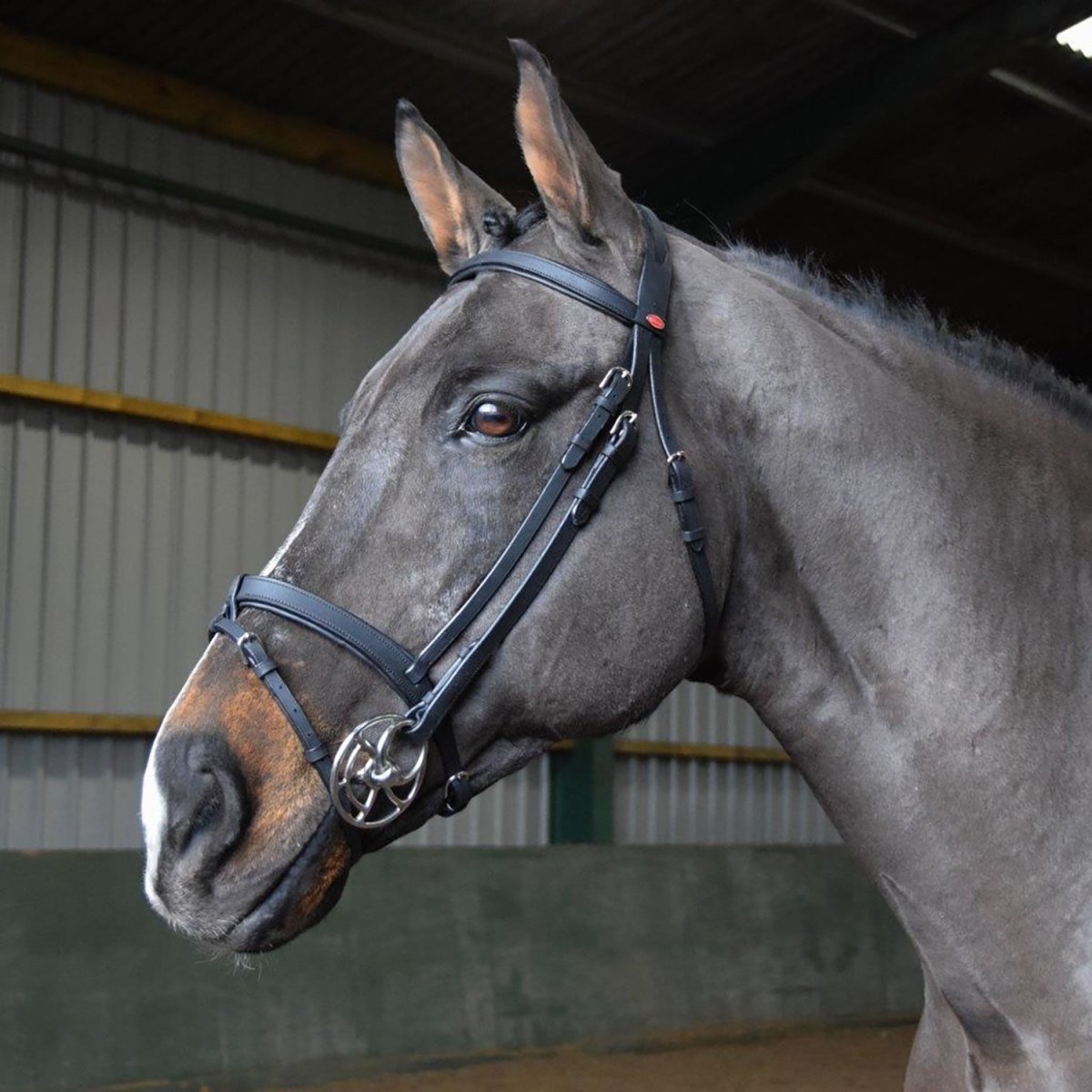Whitaker Ready To Ride Snaffle Bridle - Black - Full