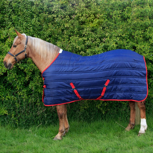 Whitaker Thomas Stable Rug 250Gm - Navy/Red - 4'9"